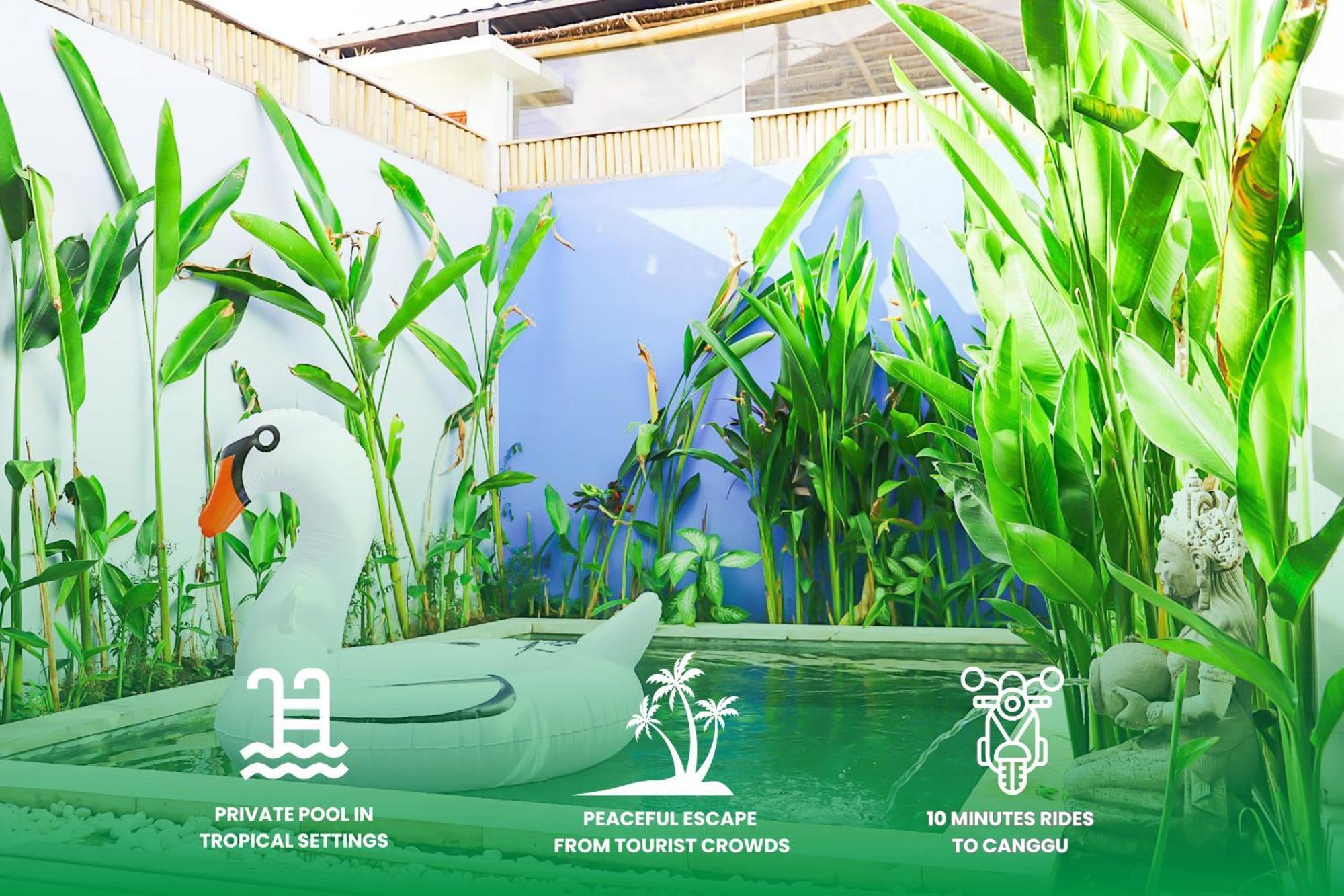 Peacock Private Pool Paradise Dalung  Exterior foto